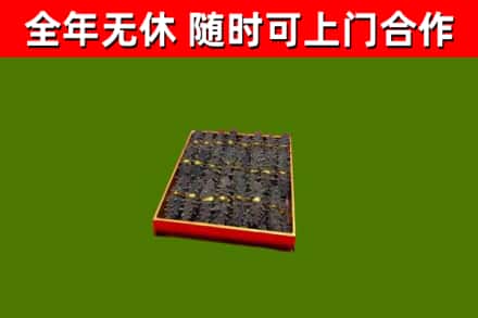 赤壁回收海参
